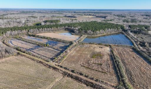 Photo #4 of SOLD property in 316 Cedar Landing Rd, Windsor, NC 88.0 acres