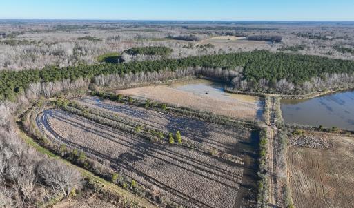 Photo #5 of SOLD property in 316 Cedar Landing Rd, Windsor, NC 88.0 acres