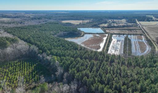 Photo #8 of SOLD property in 316 Cedar Landing Rd, Windsor, NC 88.0 acres