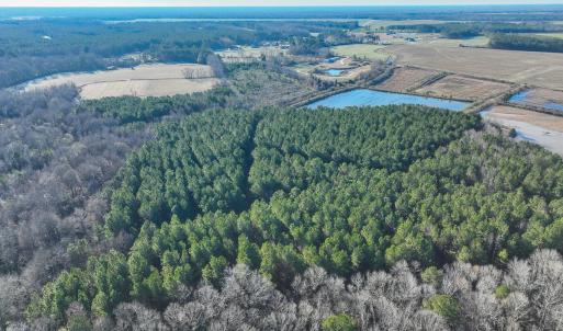 Photo #10 of SOLD property in 316 Cedar Landing Rd, Windsor, NC 88.0 acres