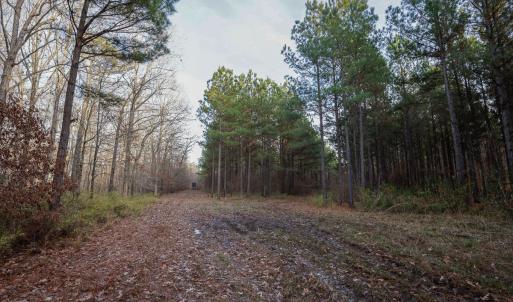 Photo #26 of SOLD property in 316 Cedar Landing Rd, Windsor, NC 88.0 acres