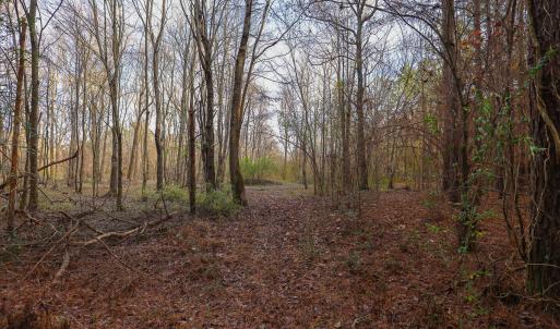 Photo #29 of SOLD property in 316 Cedar Landing Rd, Windsor, NC 88.0 acres