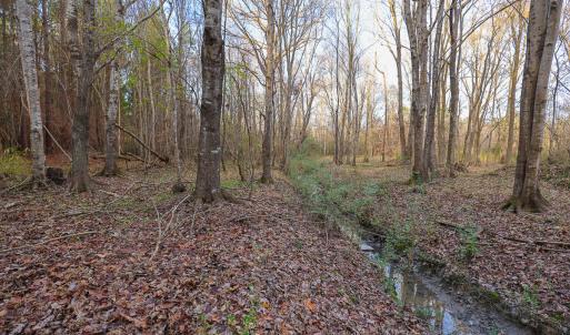 Photo #31 of SOLD property in 316 Cedar Landing Rd, Windsor, NC 88.0 acres