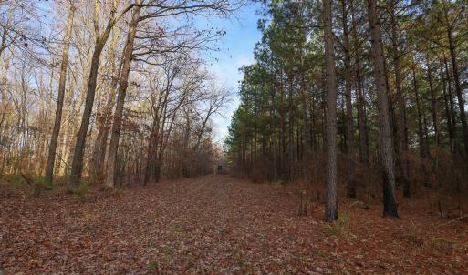 Photo #32 of SOLD property in 316 Cedar Landing Rd, Windsor, NC 88.0 acres