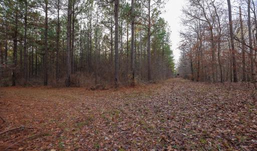 Photo #33 of SOLD property in 316 Cedar Landing Rd, Windsor, NC 88.0 acres