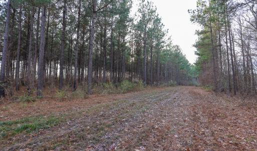 Photo #34 of SOLD property in 316 Cedar Landing Rd, Windsor, NC 88.0 acres