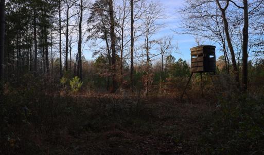 Photo #36 of SOLD property in 316 Cedar Landing Rd, Windsor, NC 88.0 acres