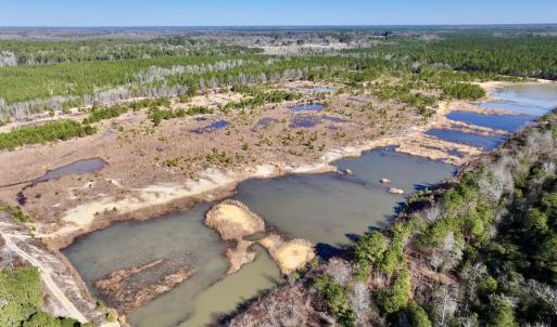 Photo #14 of SOLD property in 01 Josey Williams Road, Erwin, NC 10.9 acres
