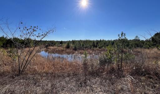 Photo #16 of SOLD property in 01 Josey Williams Road, Erwin, NC 10.9 acres
