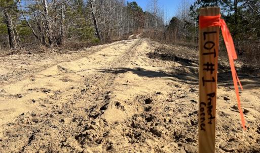 Photo #18 of SOLD property in 01 Josey Williams Road, Erwin, NC 10.9 acres