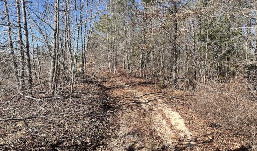 Photo #19 of SOLD property in 01 Josey Williams Road, Erwin, NC 10.9 acres