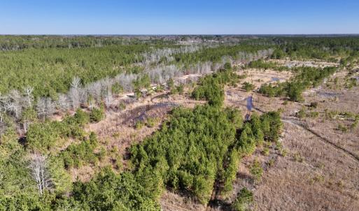 Photo #2 of SOLD property in 01 Josey Williams Road, Erwin, NC 10.9 acres