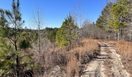 Photo #21 of SOLD property in 01 Josey Williams Road, Erwin, NC 10.9 acres
