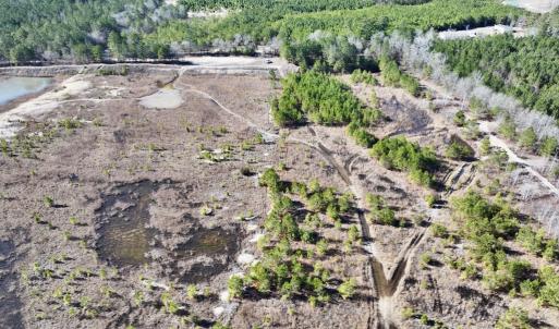 Photo #12 of SOLD property in 02 Josey Williams Road, Erwin, NC 11.0 acres