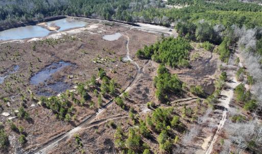Photo #13 of SOLD property in 02 Josey Williams Road, Erwin, NC 11.0 acres