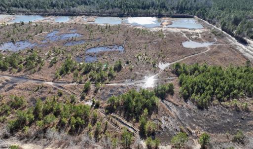 Photo #14 of SOLD property in 02 Josey Williams Road, Erwin, NC 11.0 acres