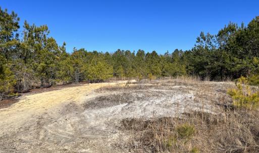 Photo #20 of SOLD property in 02 Josey Williams Road, Erwin, NC 11.0 acres