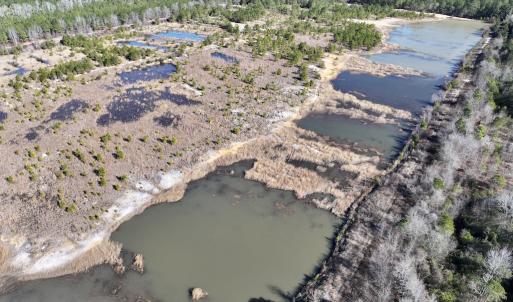 Photo #6 of SOLD property in 02 Josey Williams Road, Erwin, NC 11.0 acres