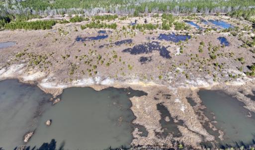 Photo #7 of SOLD property in 02 Josey Williams Road, Erwin, NC 11.0 acres