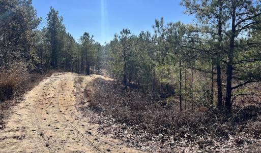 Photo #21 of SOLD property in 02 Josey Williams Road, Erwin, NC 11.0 acres