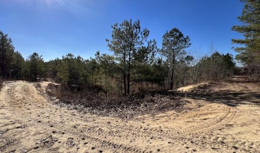 Photo #22 of SOLD property in 02 Josey Williams Road, Erwin, NC 11.0 acres