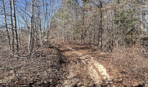 Photo #14 of SOLD property in 04 Josey Williams Road, Erwin, NC 11.0 acres