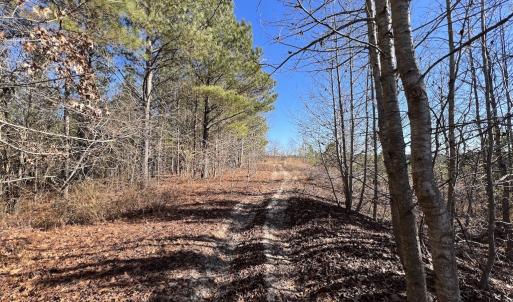 Photo #15 of SOLD property in 04 Josey Williams Road, Erwin, NC 11.0 acres
