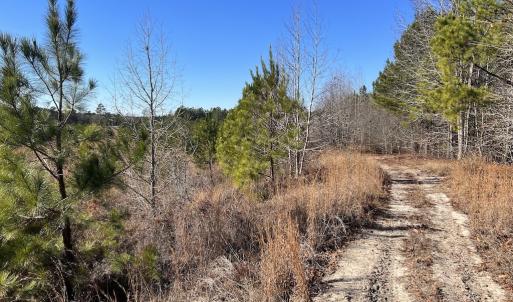 Photo #16 of SOLD property in 04 Josey Williams Road, Erwin, NC 11.0 acres