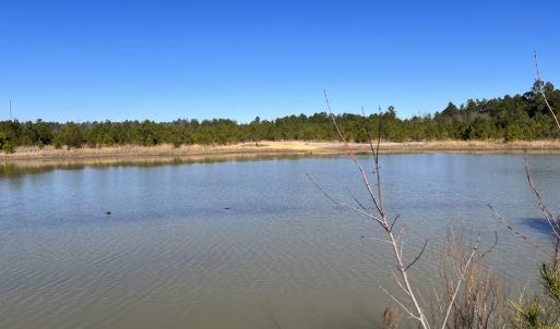Photo #17 of SOLD property in 04 Josey Williams Road, Erwin, NC 11.0 acres