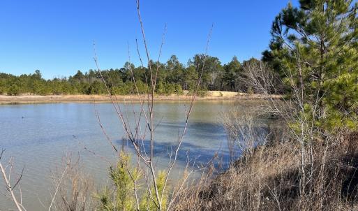 Photo #18 of SOLD property in 04 Josey Williams Road, Erwin, NC 11.0 acres
