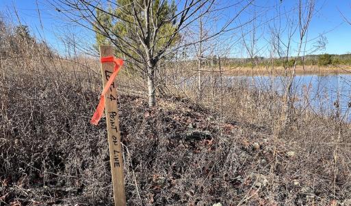 Photo #20 of SOLD property in 04 Josey Williams Road, Erwin, NC 11.0 acres