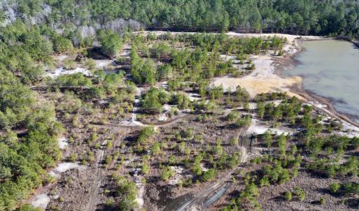 Photo #4 of SOLD property in 04 Josey Williams Road, Erwin, NC 11.0 acres
