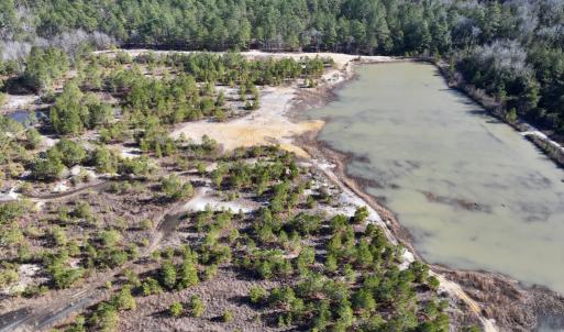 Photo #5 of SOLD property in 04 Josey Williams Road, Erwin, NC 11.0 acres