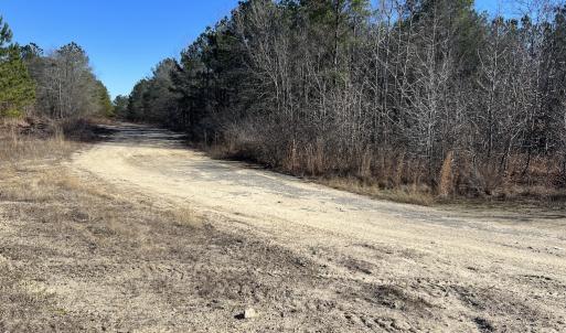 Photo #22 of SOLD property in 04 Josey Williams Road, Erwin, NC 11.0 acres