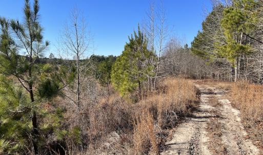 Photo #19 of SOLD property in 05 Josey Williams Road, Erwin, NC 13.4 acres