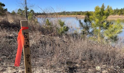 Photo #20 of SOLD property in 05 Josey Williams Road, Erwin, NC 13.4 acres