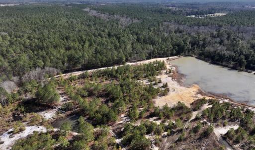 Photo #4 of SOLD property in 05 Josey Williams Road, Erwin, NC 13.4 acres