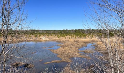 Photo #22 of SOLD property in 05 Josey Williams Road, Erwin, NC 13.4 acres