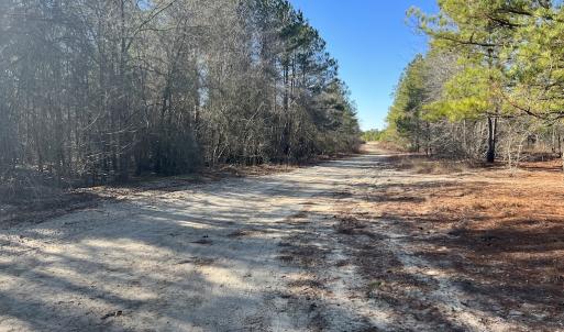Photo #23 of SOLD property in 05 Josey Williams Road, Erwin, NC 13.4 acres