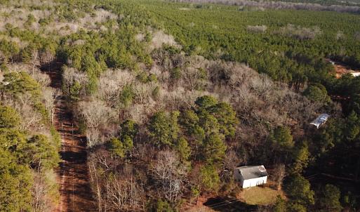 Photo #2 of SOLD property in 7251 Baxter Rd, Disputanta, VA 21.8 acres