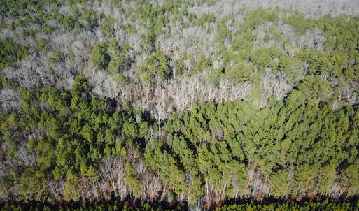 Photo #4 of SOLD property in 7251 Baxter Rd, Disputanta, VA 21.8 acres
