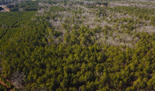Photo #6 of SOLD property in 7251 Baxter Rd, Disputanta, VA 21.8 acres