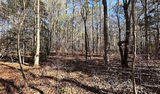 Photo #12 of SOLD property in 7251 Baxter Rd, Disputanta, VA 21.8 acres