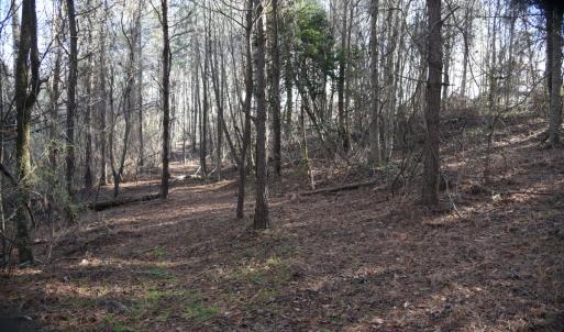 Photo #19 of SOLD property in Off Cattail Road, Elm City, NC 44.9 acres