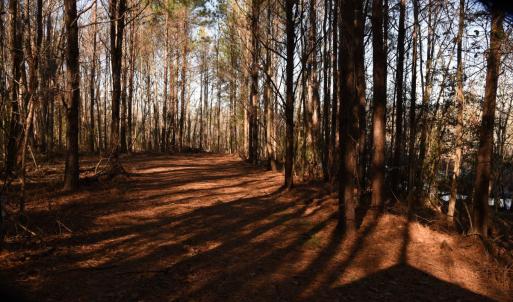 Photo #20 of SOLD property in Off Cattail Road, Elm City, NC 44.9 acres