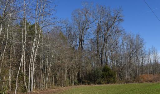 Photo #22 of SOLD property in Off Cattail Road, Elm City, NC 44.9 acres