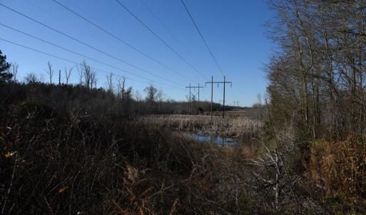 Photo #23 of SOLD property in Off Cattail Road, Elm City, NC 44.9 acres