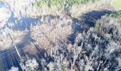 Photo #5 of SOLD property in Off Cattail Road, Elm City, NC 44.9 acres