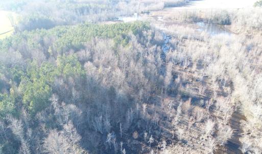 Photo #6 of SOLD property in Off Cattail Road, Elm City, NC 44.9 acres