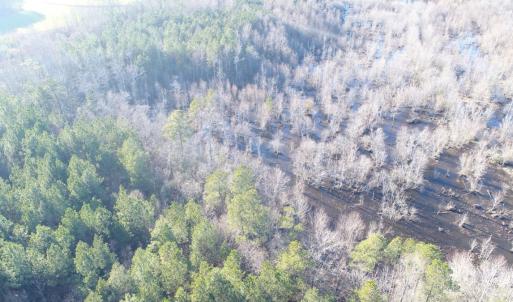 Photo #7 of SOLD property in Off Cattail Road, Elm City, NC 44.9 acres